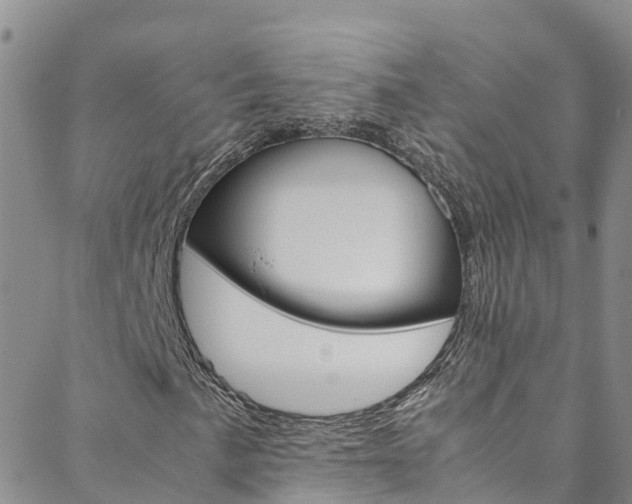 X0000088601057200705250823