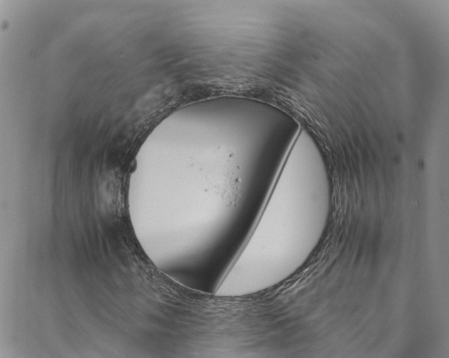 X0000088601058200705250823