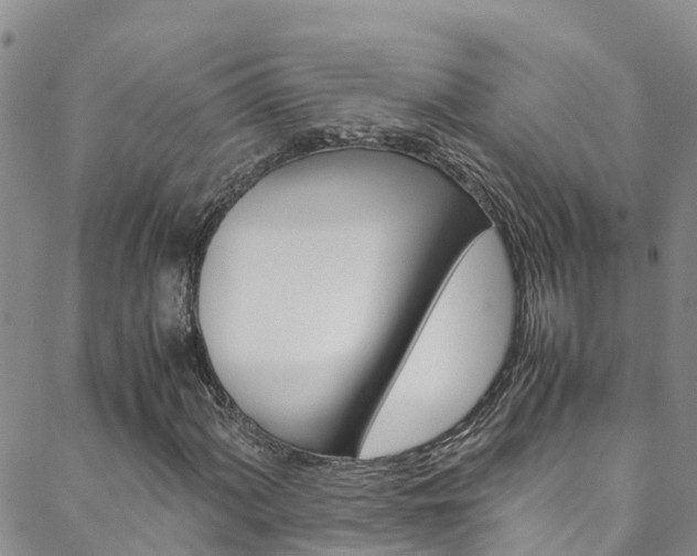 X0000088601060200705250823