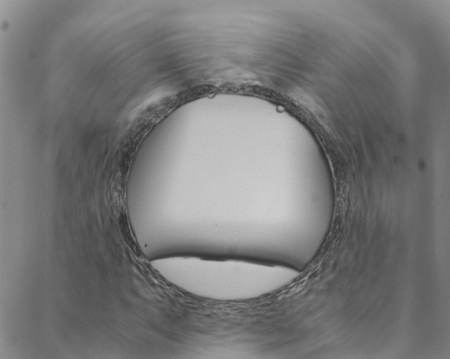 X0000088601063200705250823