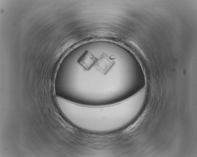 X0000088601065200705250823