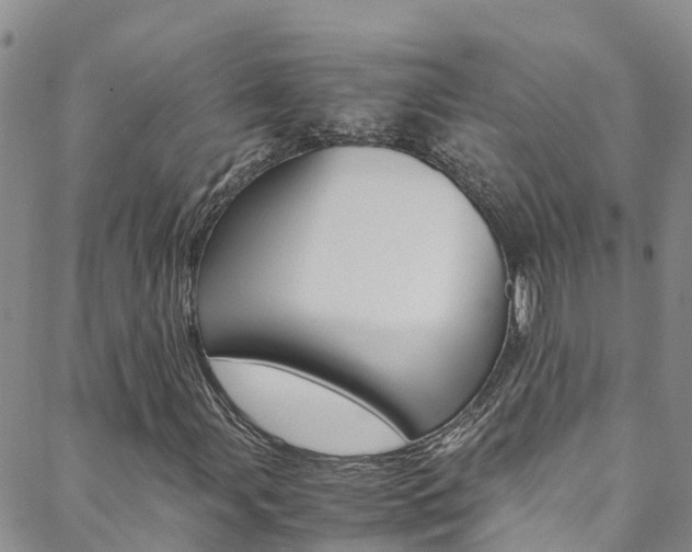 X0000088601107200705250821