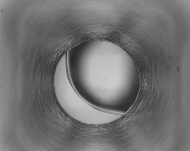 X0000088601108200705250821