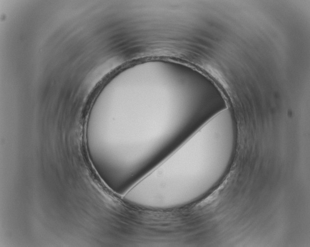 X0000088601119200705250821