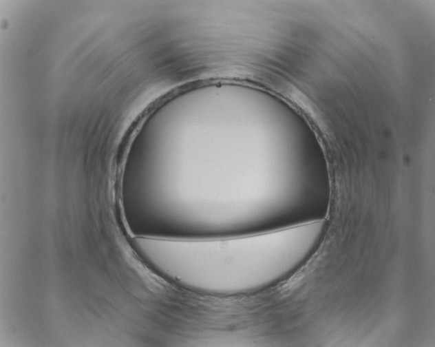 X0000088601124200705250821