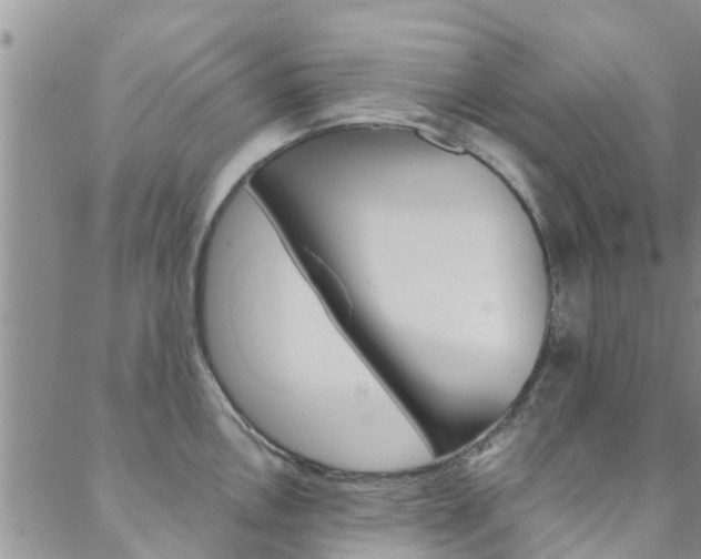 X0000088601146200705250822