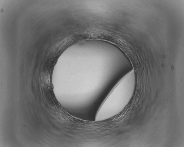 X0000088601155200705250821