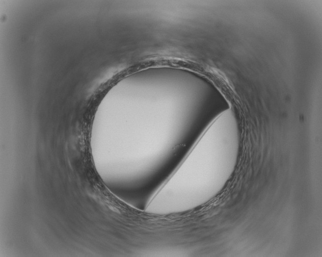 X0000088601159200705250821