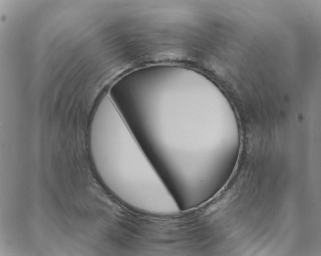 X0000088601217200705250820