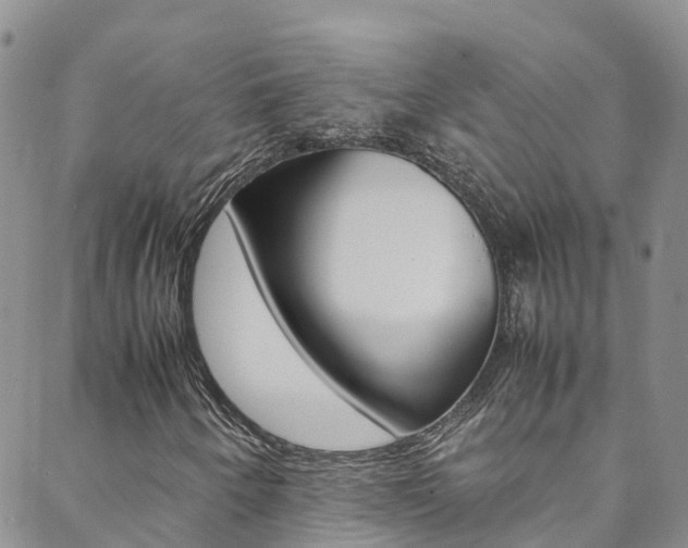 X0000088601250200705250820