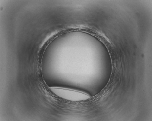X0000088601256200705250819