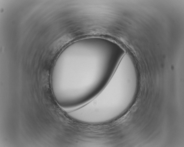 X0000088601265200705250819