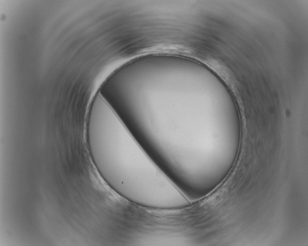 X0000088601296200705250819