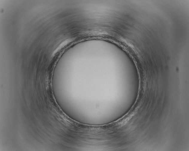 X0000088601306200705250818