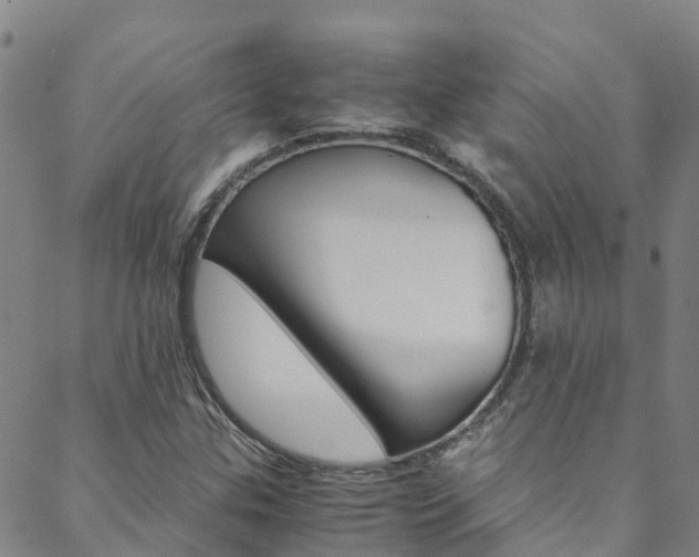 X0000088601307200705250818
