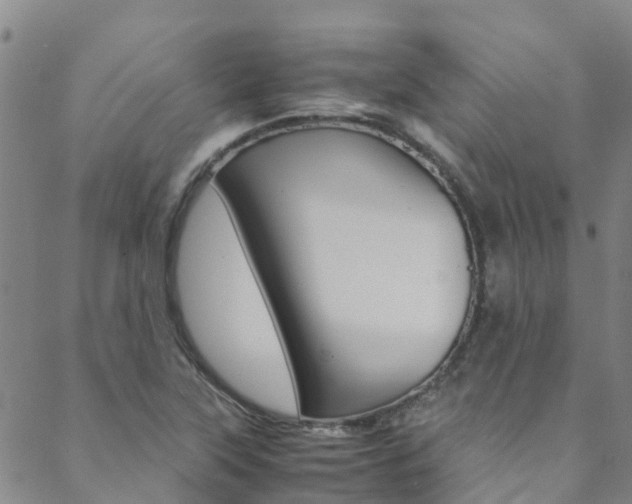X0000088601315200705250818