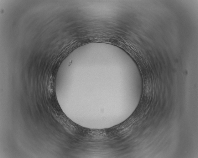 X0000088601346200705250818