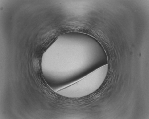 X0000088601347200705250818