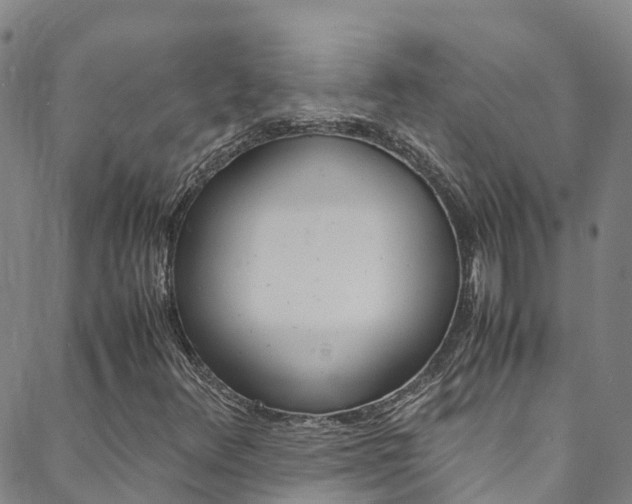 X0000088601348200705250818