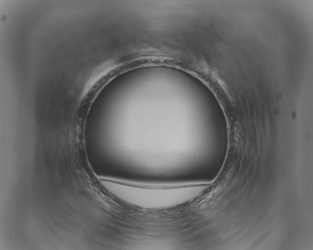 X0000088601352200705250818