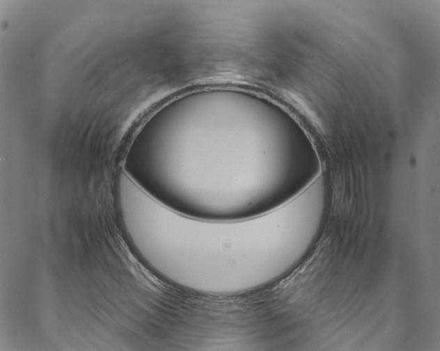 X0000088601356200705250818