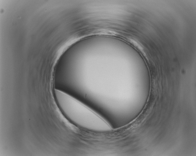 X0000088601379200705250817