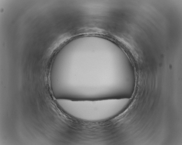 X0000088601407200705250817