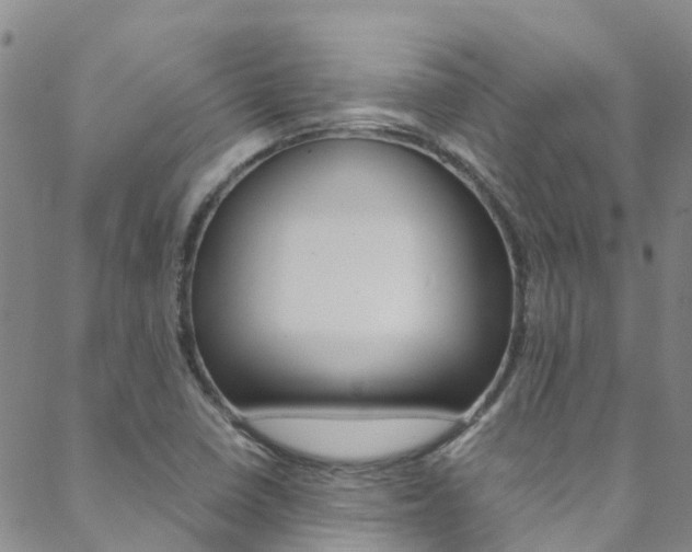 X0000088601410200705250817