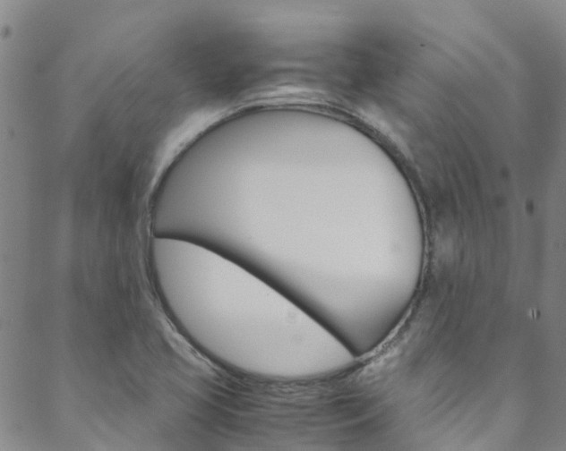 X0000088601413200705250817