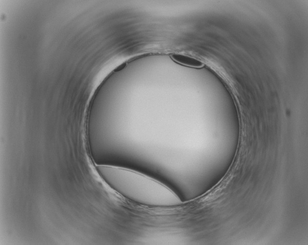 X0000088601440200705250817