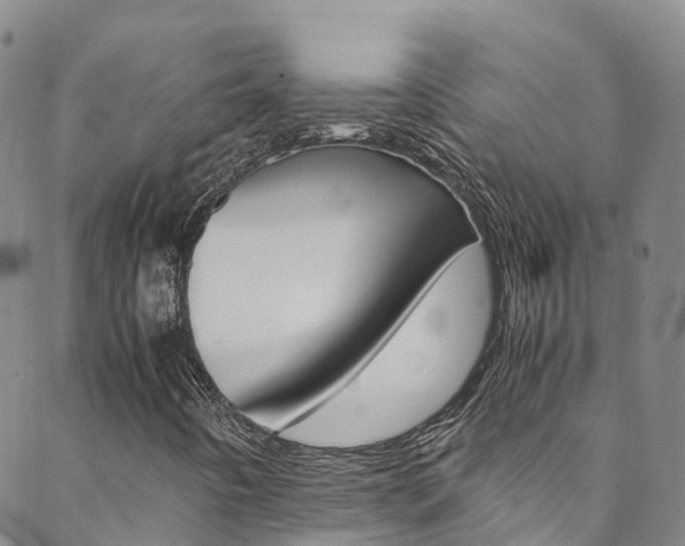 X0000088601442200705250816