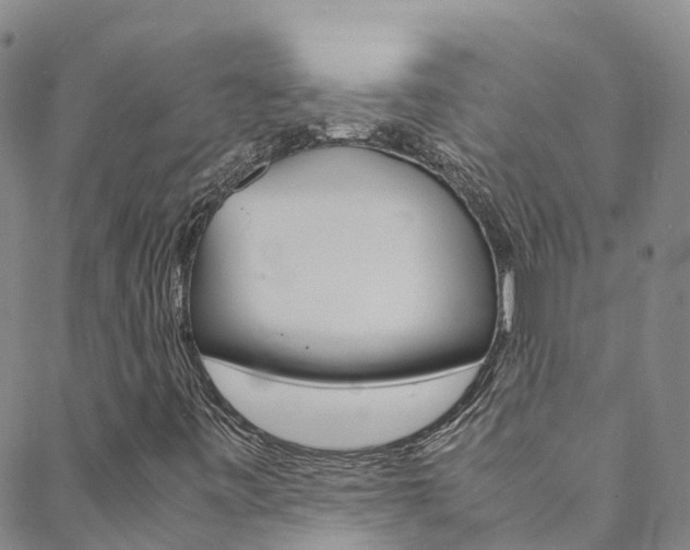X0000088601443200705250816