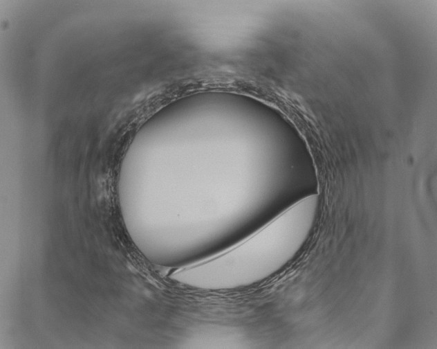 X0000088601445200705250816
