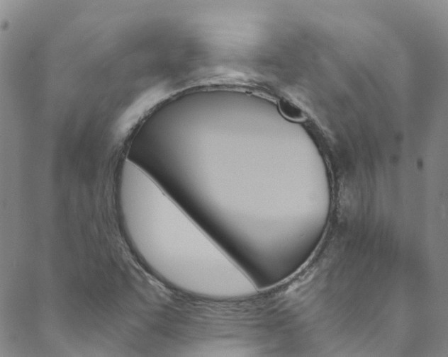X0000088601455200705250816