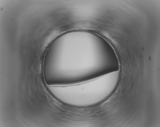 X0000088601459200705250816