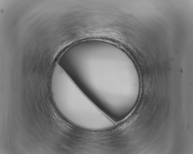 X0000088601497200705250815