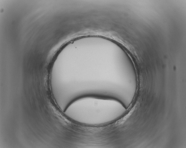X0000088601502200705250815