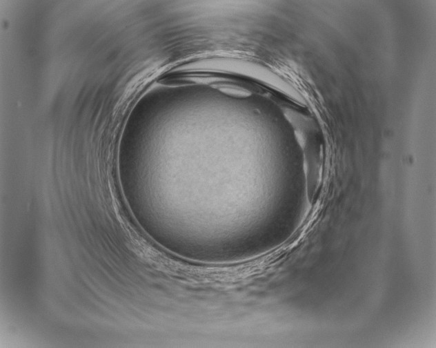 X0000088600001200705251226