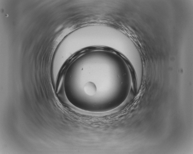 X0000088600003200705251226