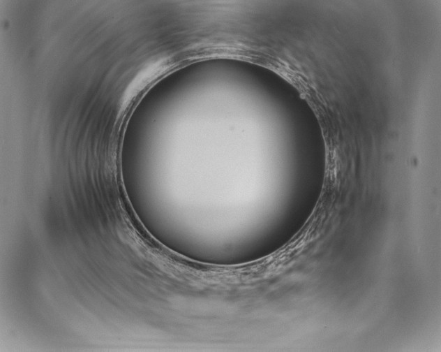 X0000088600004200705251226