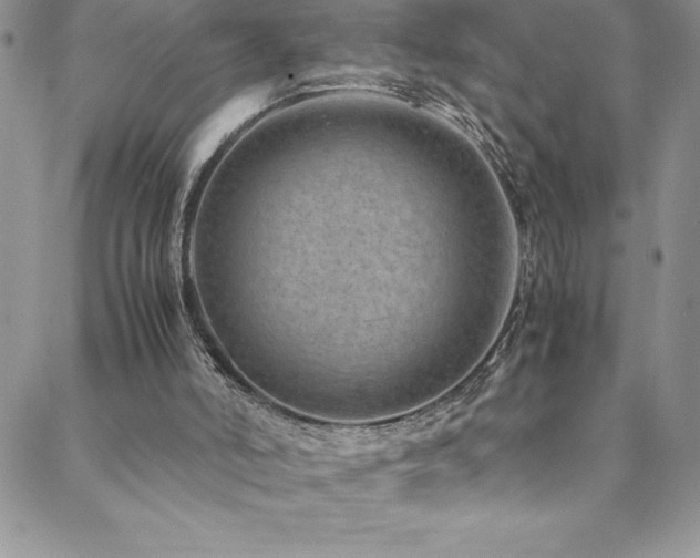 X0000088600006200705251225