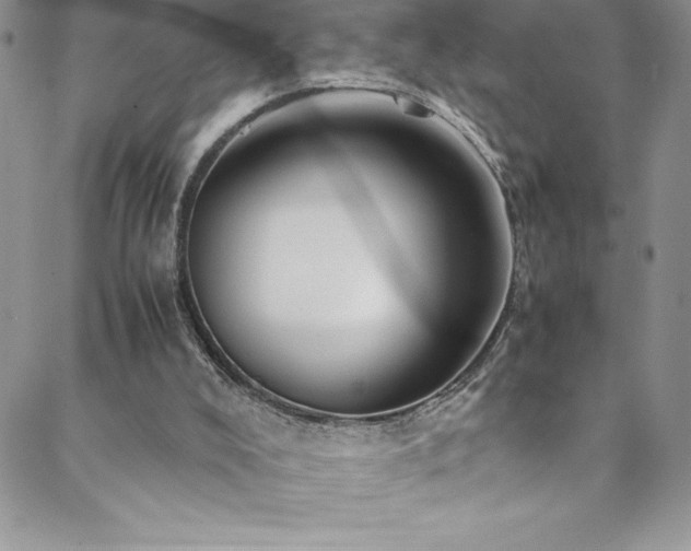 X0000088600008200705251225