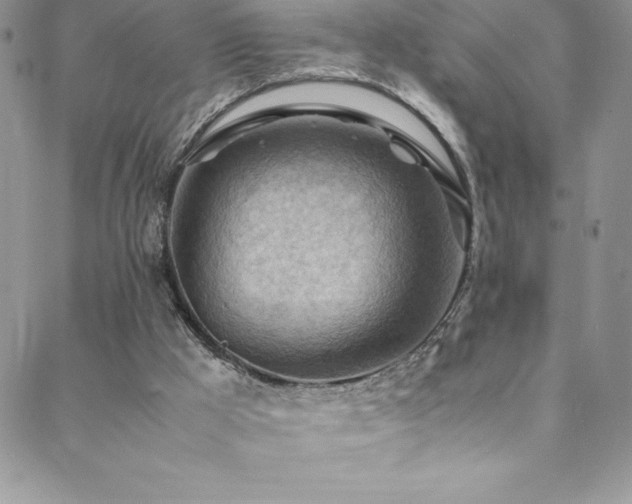 X0000088600009200705251225