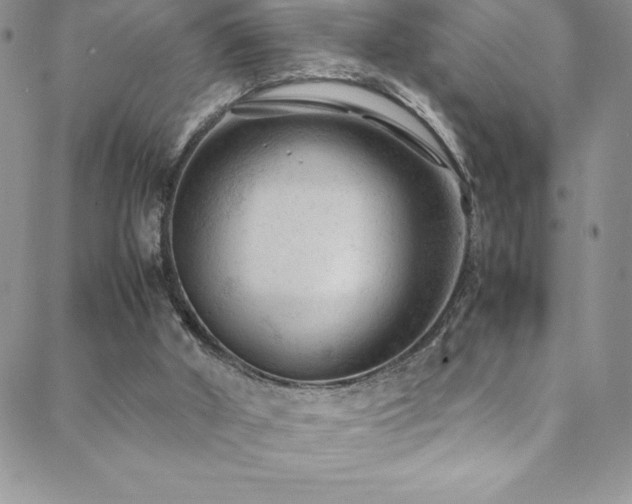 X0000088600010200705251225