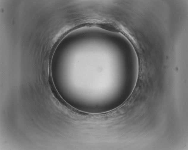 X0000088600011200705251225