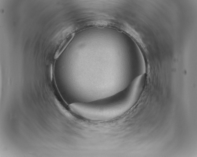 X0000088600013200705251225