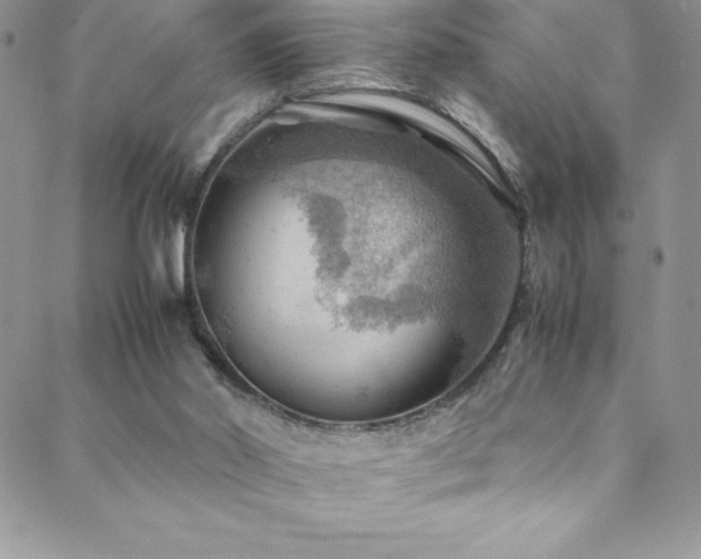 X0000088600014200705251225