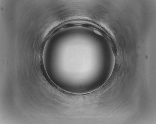 X0000088600015200705251225