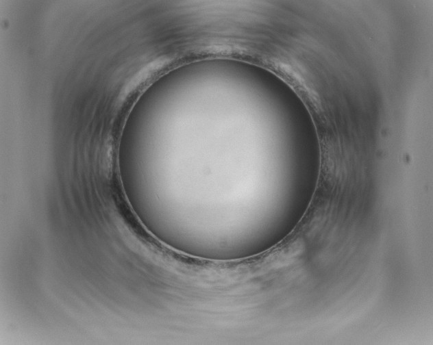 X0000088600016200705251225