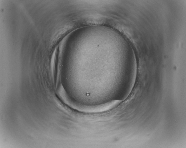 X0000088600017200705251225